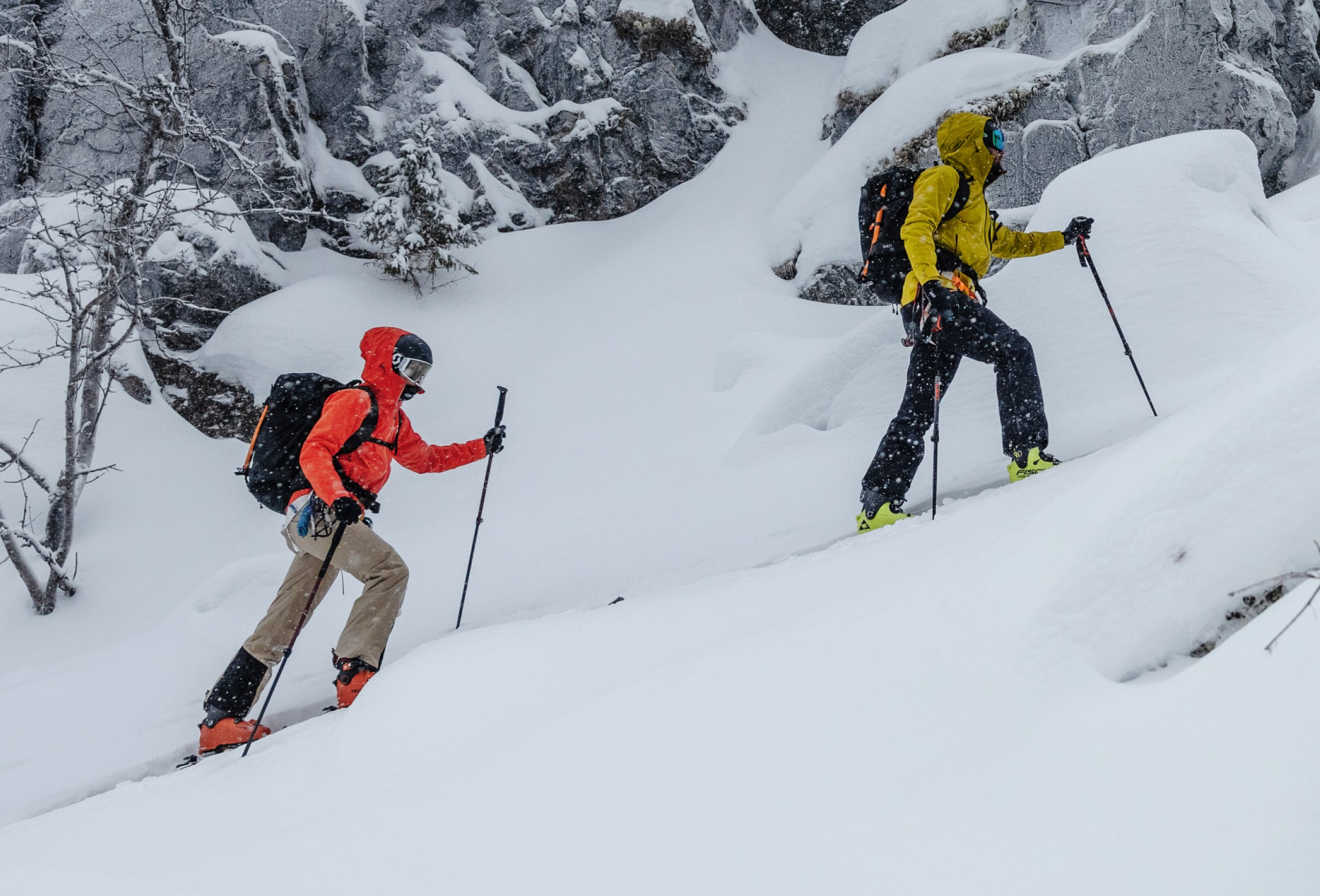 Spodnie narciarskie damskie Halti Carvey II DX